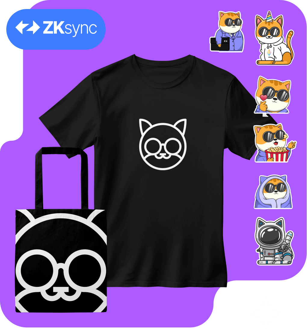 ZKsynk case